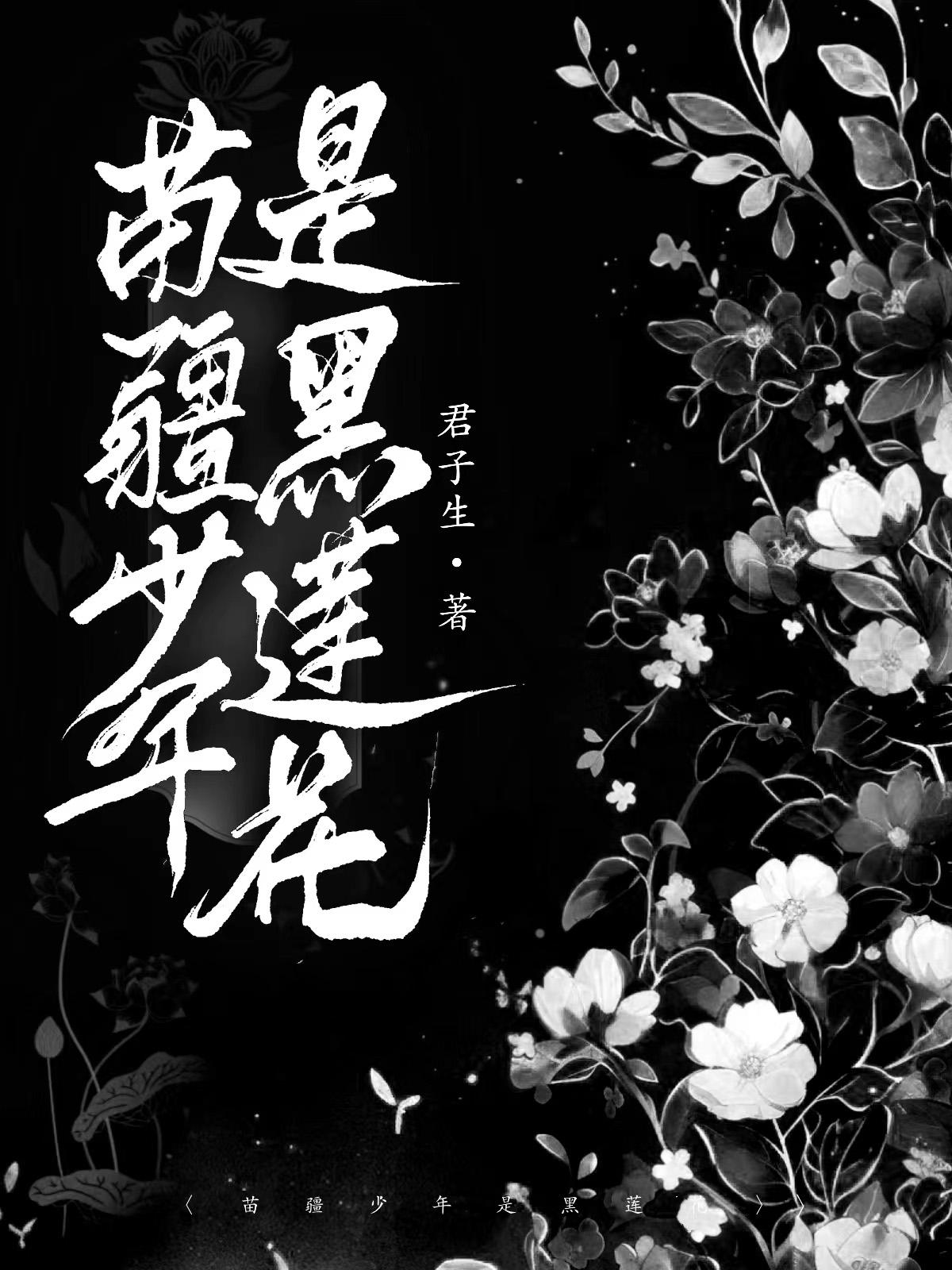 苗疆少年是黑蓮花完整版