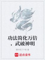 功法簡化萬倍武破神明