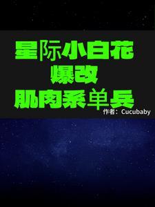 星際小白打不開