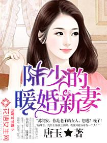 陆少的暖婚新妻免费版