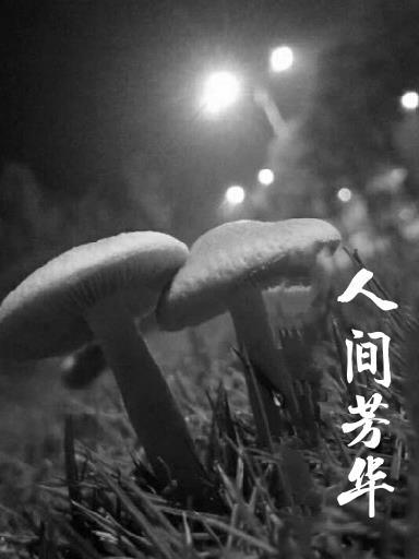 芳華最經典十句